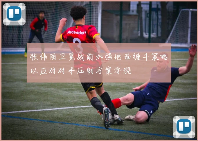 张伟丽卫冕战前加强地面缠斗策略以应对对手压制方案浮现