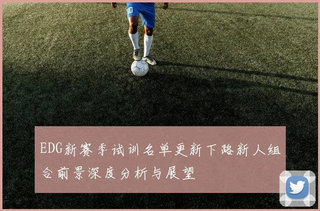 EDG新赛季试训名单更新下路新人组合前景深度分析与展望