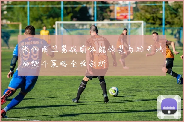 张伟丽卫冕战前体能恢复与对手地面缠斗策略全面剖析